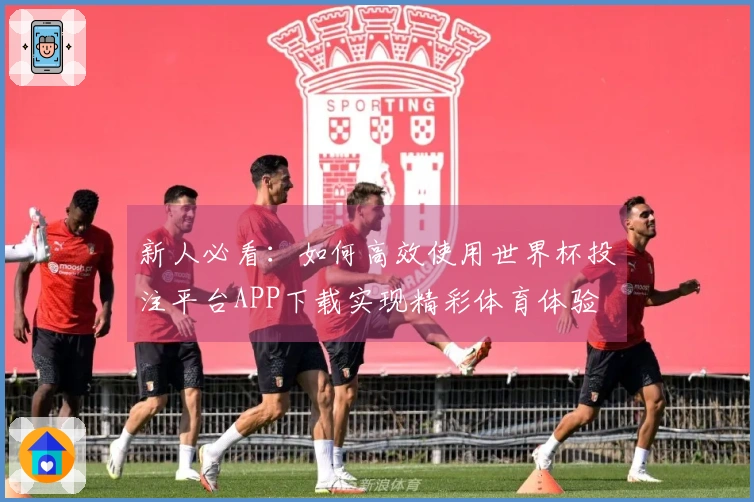 新人必看：如何高效使用世界杯投注平台APP下载实现精彩体育体验